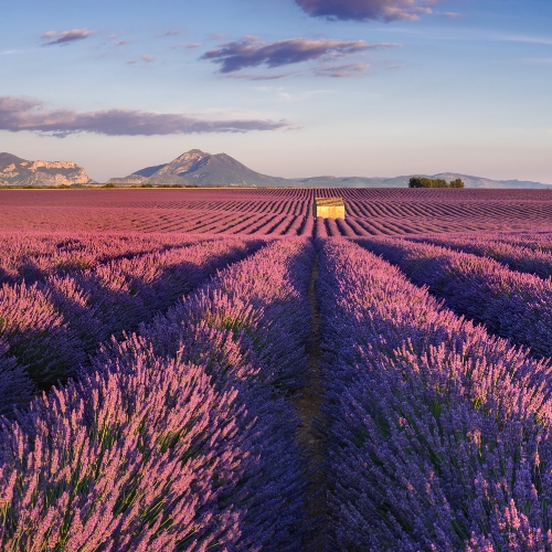 Inspiration de vacances, offre de séjours en été