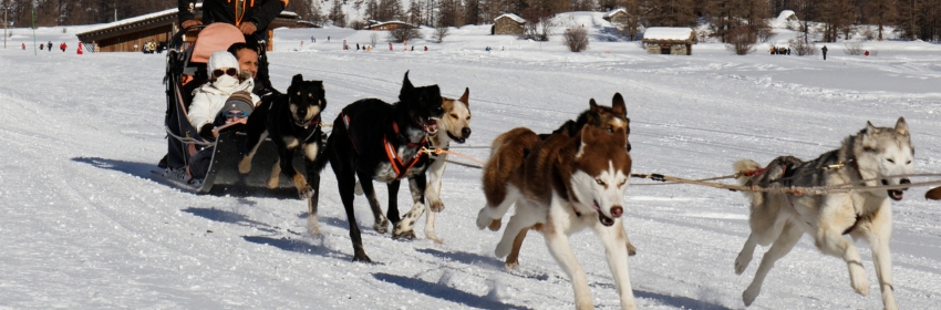 Village-vacances à la montagne, balade en chien de traîneau