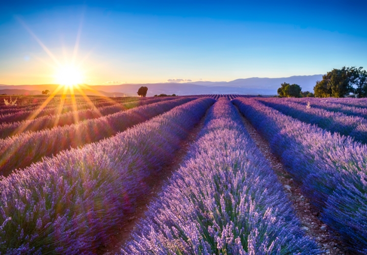 Blog visiter la Drôme Provençale