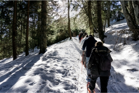 Vacances au ski et à la neige, raquettes dans les Alpes du Léman