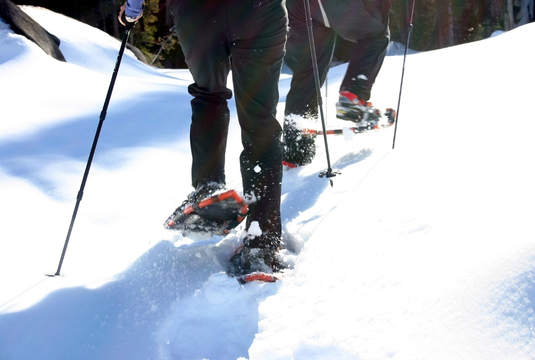Village-vacances au ski, balade en raquettes