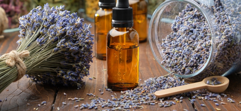 Séjour lâcher-prise, atelier plantes cosmétiques