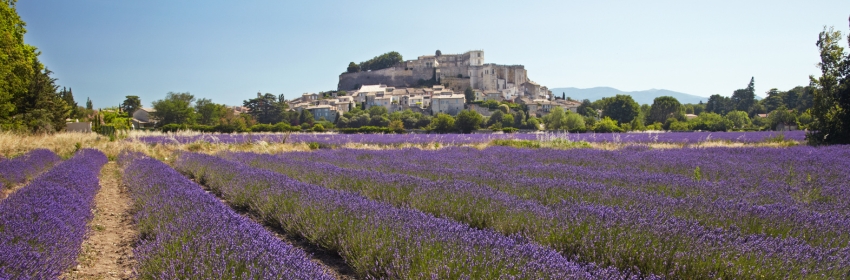 Châteaux de Drôme Provençale, Château de Grignan