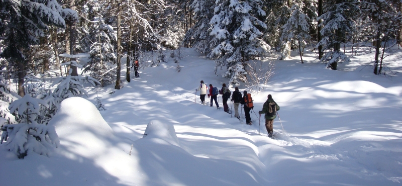 Séjours rando-raquettes dans les Alpes du Léman