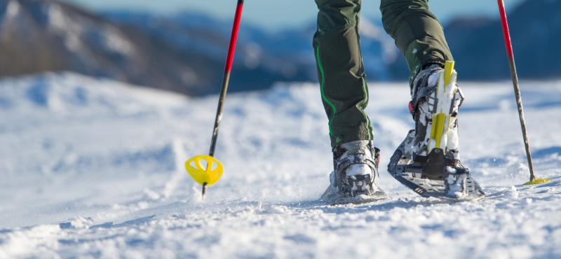 Séjours rando en raquettes dans les Alpes du Léman, en Haute-Savoie