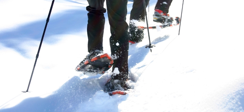 Séjours rando en raquettes dans les Alpes du Léman