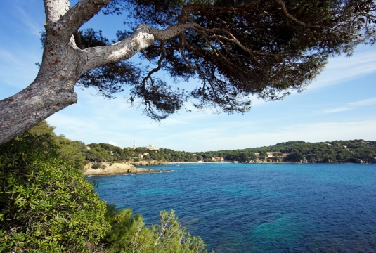 Village-vacances dans le Var, presqu'Île de Giens